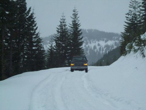1995 Ford Bronco - A dark 1995 Ford Bronco navigates a snowy mountain road, surrounded by tall pine trees and snow-covered slopes.