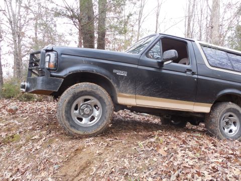 1983 Ford Bronco - I'm starting at the top of this little hill & backing down to snatch the tree out. But it's still fairly wet under the leaves, so traction…