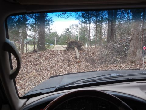 1983 Ford Bronco - It came up over the hill pretty easily, despite the slimy ground.