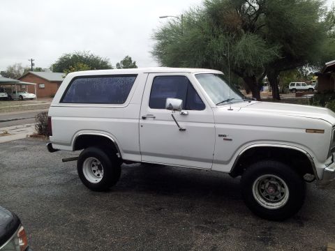 1986 Ford Bronco “Donkey”
