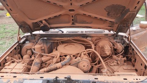 1985 Ford Bronco