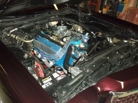 1979 Ford Ranchero - Open engine bay of a dark maroon car, looking down from the driver's side at a Ford big-block V8 painted blue with polished finned aluminum…