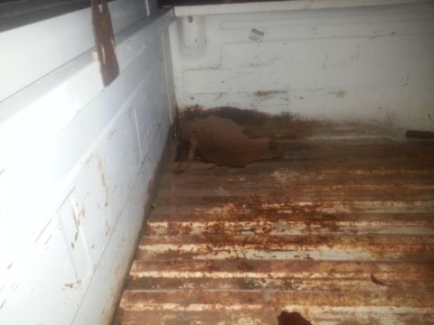 1973 Ford F-100 - The interior of a truck bed shows extensive rust damage on its floor and lower walls.