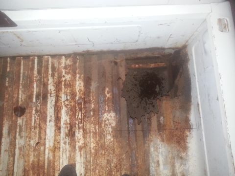 1973 Ford F-100 - Interior of a heavily rusted truck bed shows significant wear and damage.
