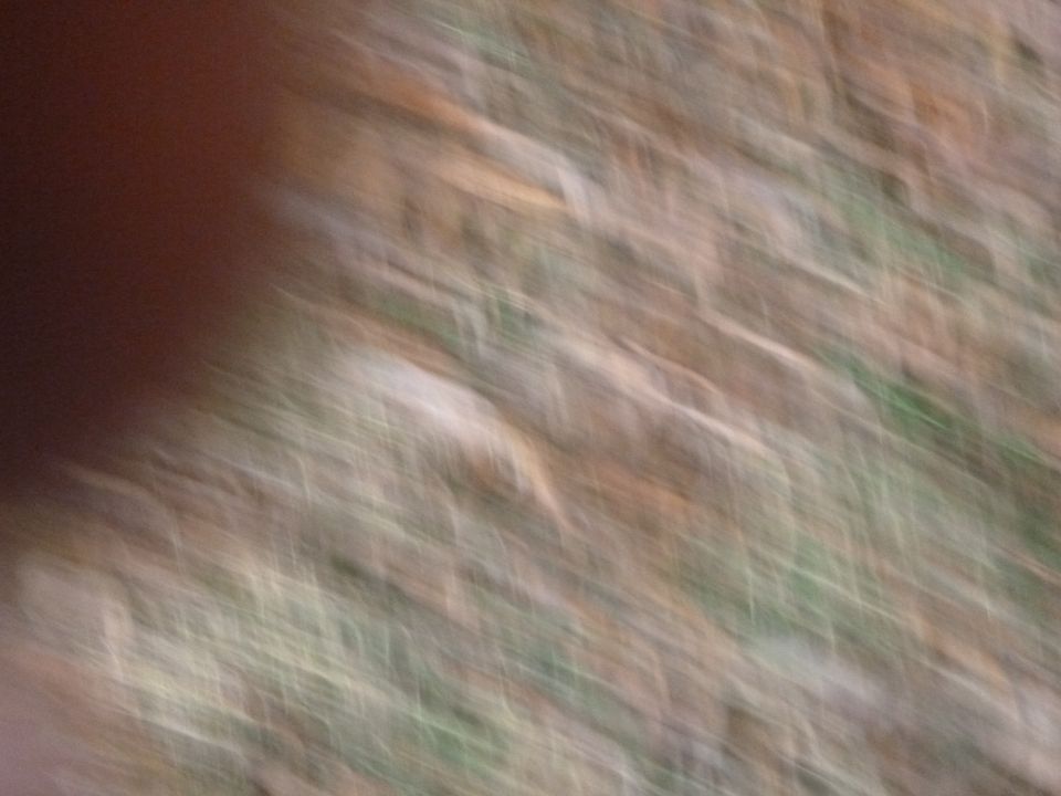 Blurry abstract pattern with brown and green tones, showing motion blur