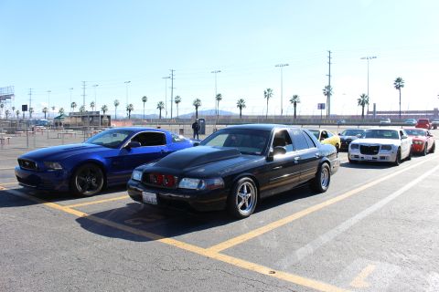 2003 Ford Crown Victoria - blue Ford Mustang, a black Ford sedan and a white Chrysler 300 lined up in a palm-lined parking lot under blue sky.
