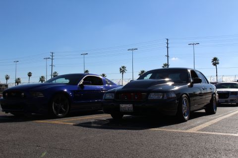 2003 Ford Crown Victoria - blue Ford Mustang with black wheels parked beside a black Ford sedan in a sunny palm-lined parking lot.