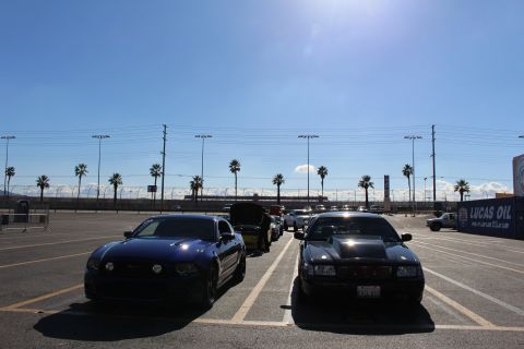 2003 Ford Crown Victoria - black Ford Mustang and a black sedan parked nose-out in a sunlit lot, with palm trees and a Lucas Oil banner behind them.