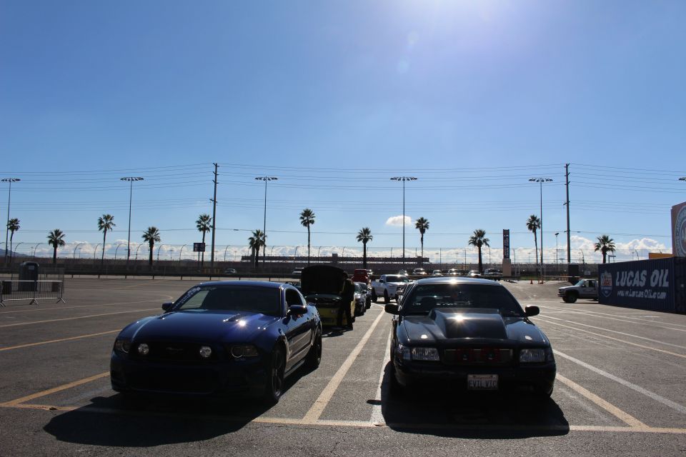 Front view of a black Mustang and a black sedan parked under bright sun with palm trees and a Lucas Oil banner