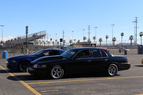 2003 Ford Crown Victoria - black full-size sedan and a blue Mustang shown in profile on a racetrack parking area in front of empty grandstands and palm trees.