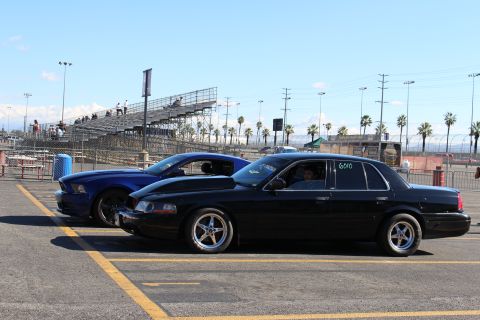 2003 Ford Crown Victoria - black full-size sedan numbered 6010 with a driver inside sits beside a blue Mustang in front of empty grandstands and palm trees.