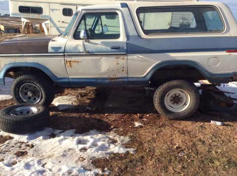1979 Ford Bronco photo