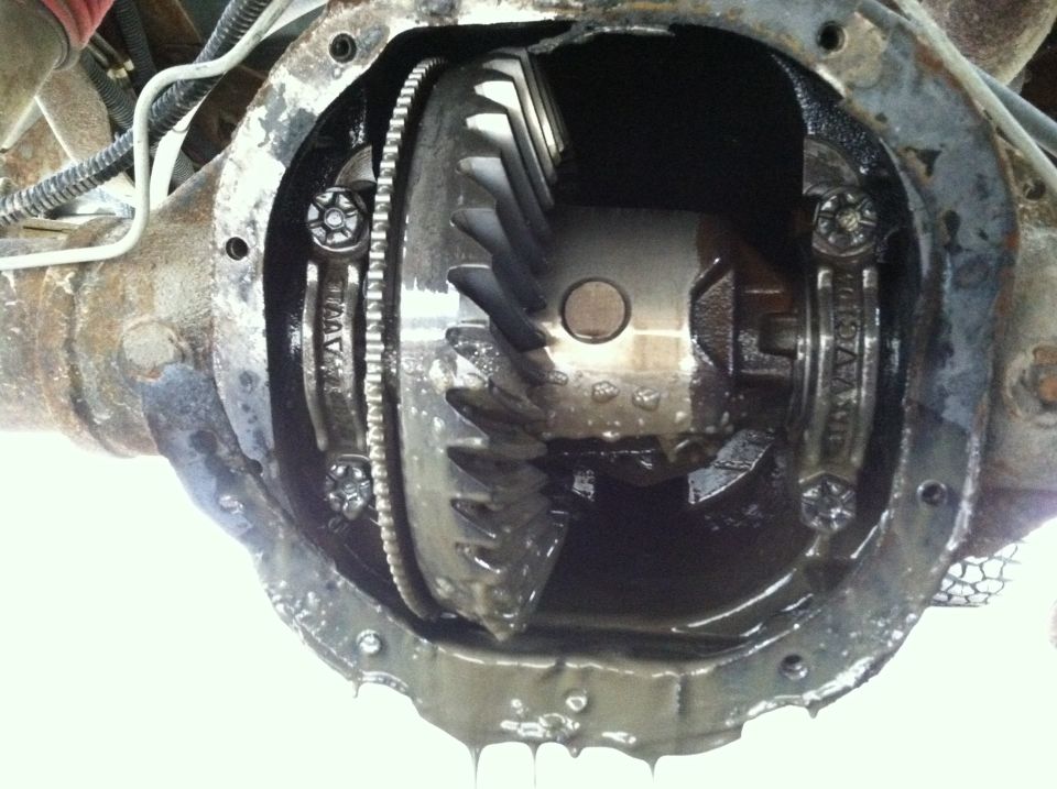 Open differential housing with ring and pinion gears, covered in oil.