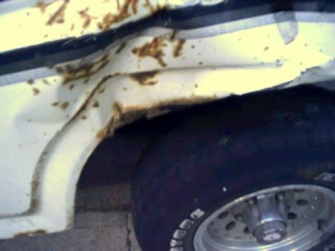 1981 Ford Bronco - The wheel well shows significant rust and damage.