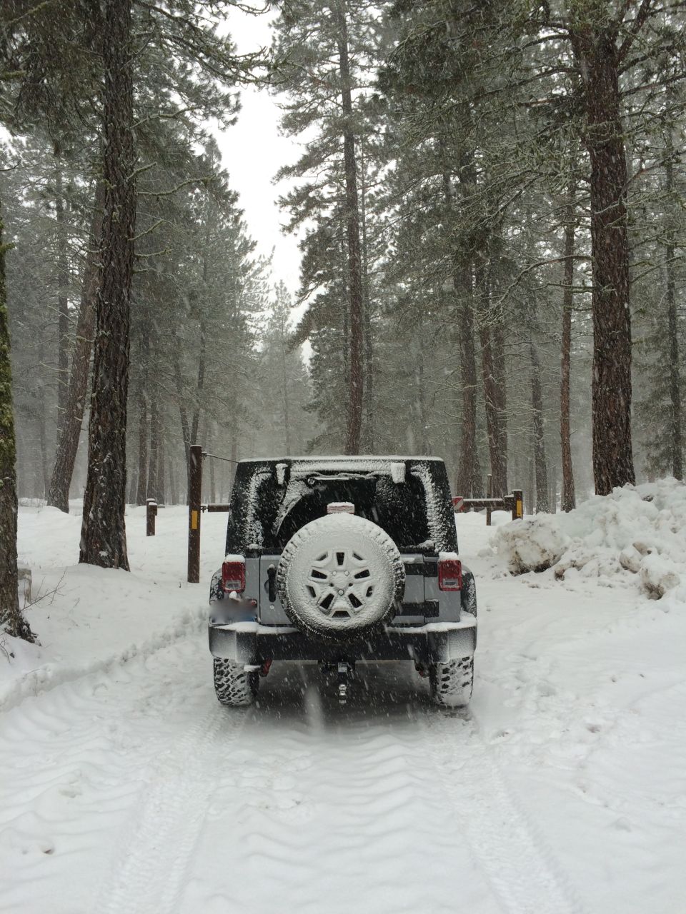Silver Jeep Wrangler parked on a snowy road in a forest, rear view. Snow is falling