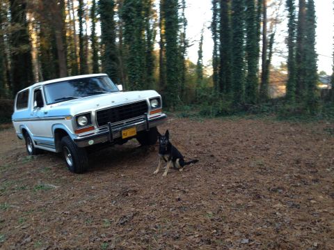 1978 Ford Bronco photo