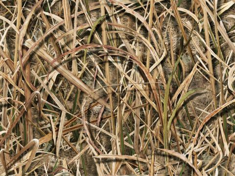 1978 Ford Bronco - Camouflage pattern dry grass and reeds, with a SuperMotors.net watermark.