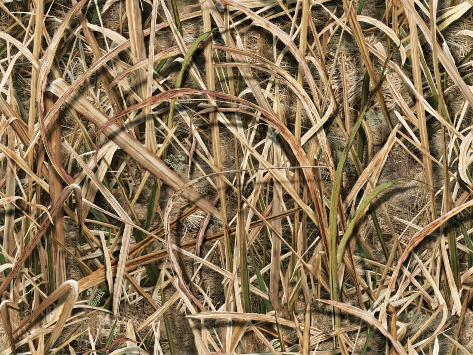 Camouflage pattern with dry grass and reeds. SuperMotors.net logo visible