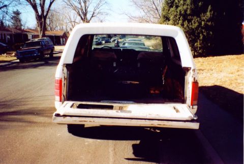 1981 Ford Bronco - Rear view of a white 1981 Ford Bronco with its tailgate down, parked on a residential street.