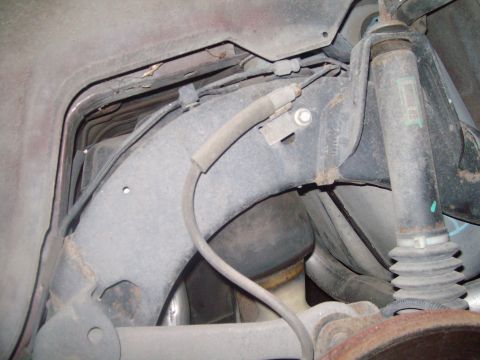 2004 Ford Crown Victoria - Factory rear shocks.