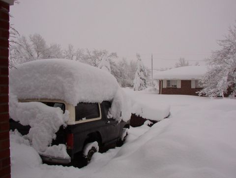 1981 Ford Bronco - A vehicle is almost completely covered by snow, with a house and trees in the background during a winter storm.