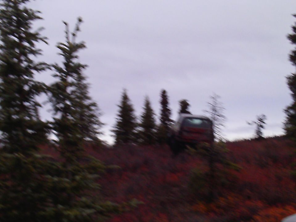 Red SUV parked on a brush-covered hill with evergreen trees.