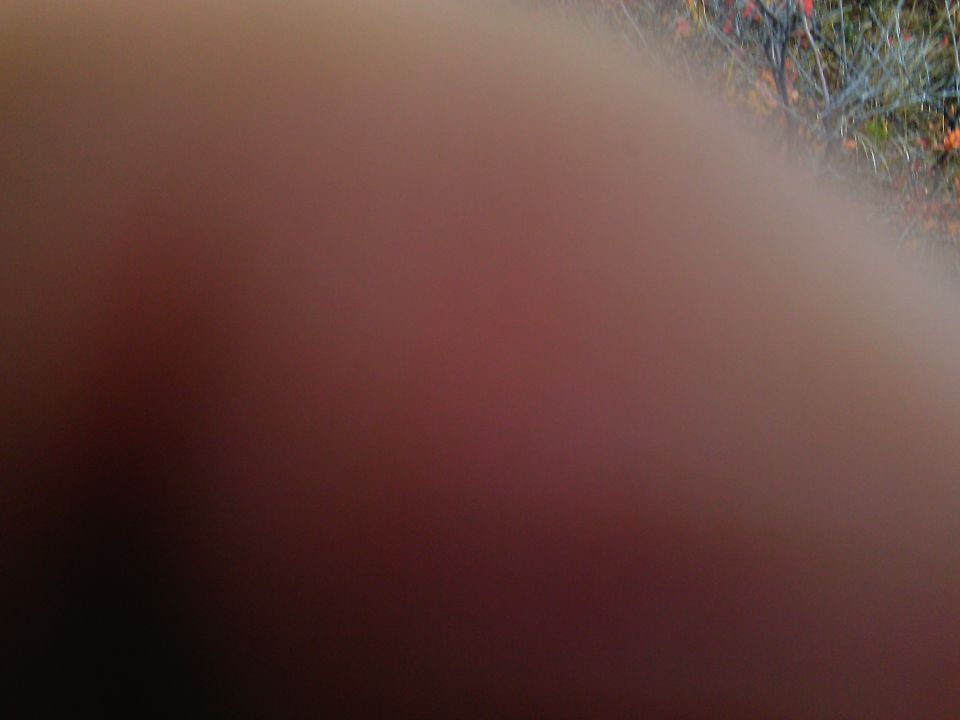 Blurred image with a hand obscuring the foreground and trees in the background.