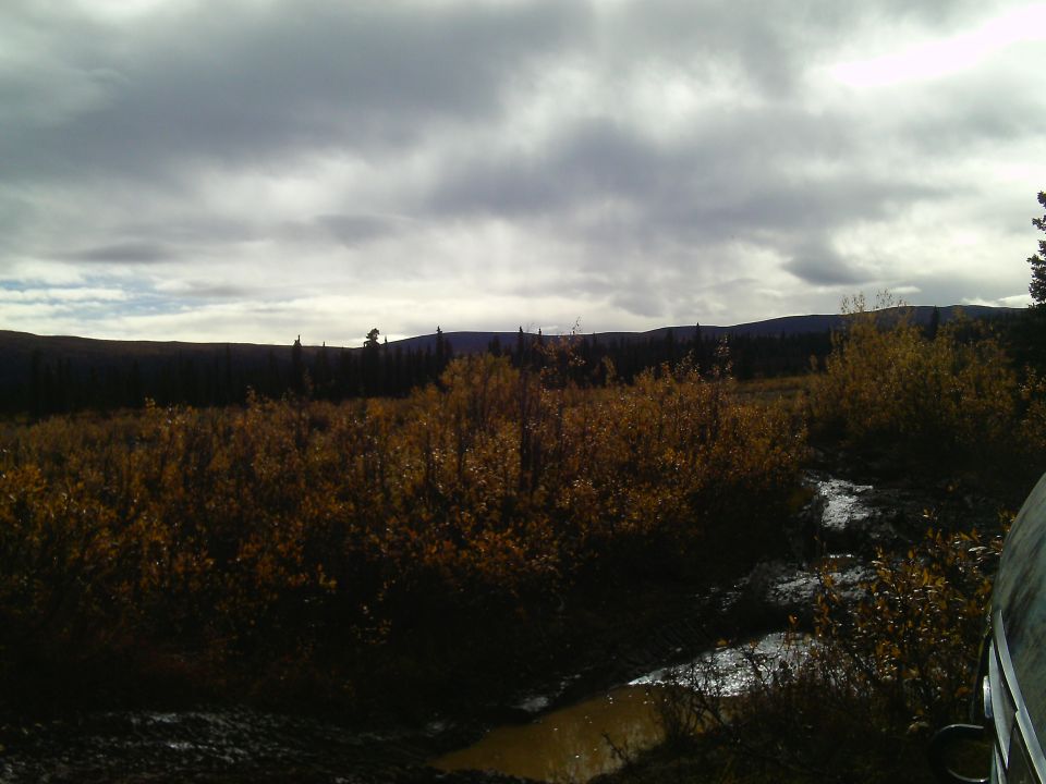 Front right corner of a dark vehicle on a muddy track with autumn brush.