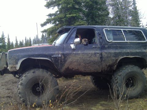 1990 Ford F-250 - This heavily modified SUV is covered in mud, suggesting off-road use, and has a dog peering out the window.