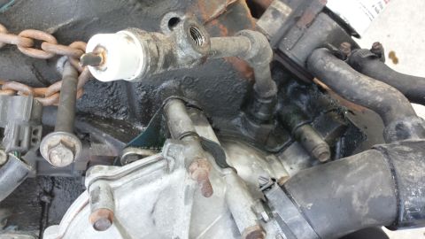 1995 Ford Bronco - Close-up view of engine components, including a chain and hoses, with visible oil residue.