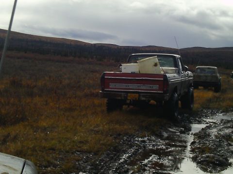 1990 Ford F-250 - A red 1979 Ford F-150 pickup truck is parked in a muddy, grassy field with another vehicle visible in the background.