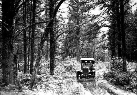 1909 Ford Model T - A 1909 Ford Model T navigates a wooded path, its early design evident against the natural backdrop.