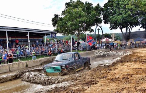 1981 Ford Bronco photo