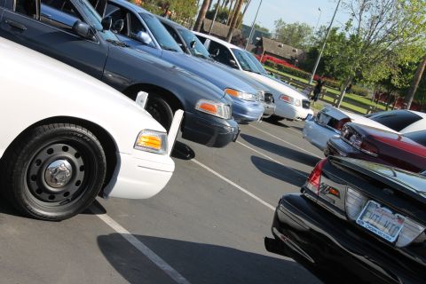 2004 Ford Crown Victoria - Multiple Ford Crown Victoria police cars are lined up in a parking lot on a sunny day.