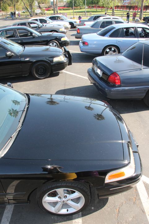 2004 Ford Crown Victoria - A lineup of Ford Crown Victoria police cruisers, some equipped with push bars, are parked in an outdoor lot.