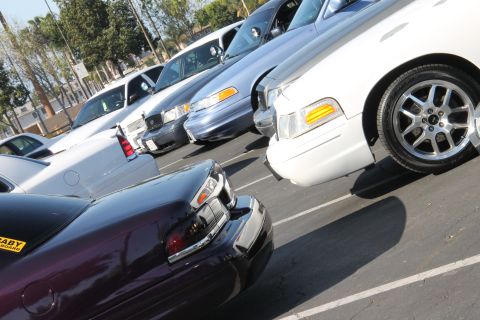 2004 Ford Crown Victoria - Several Ford Crown Victorias are lined up in a parking lot, with the front of a white model prominently displayed.