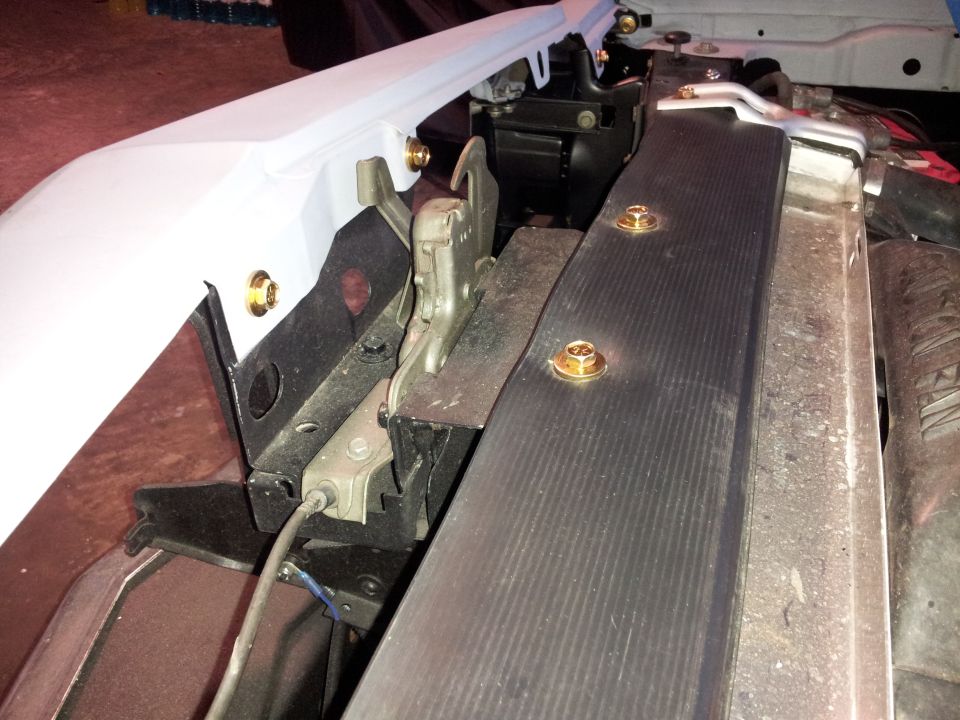 Hood latch mechanism with gold bolts and black plastic trim