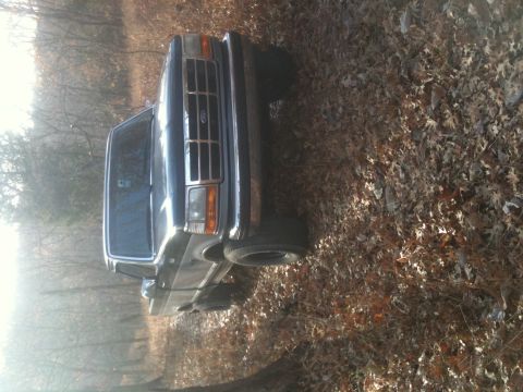 1994 Ford Bronco - A dark blue 1994 Ford Bronco is parked outdoors on a bed of fallen leaves.