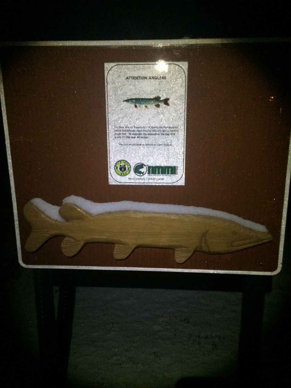 Sign with text 'ATTENTION ANGLERS' and image of a fish, below is a wooden carving of a fish covered in snow