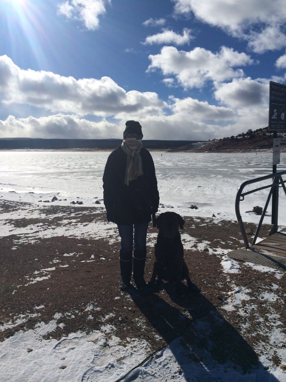 Person in dark coat and scarf stands next to a black dog on a snowy, rocky shore with a frozen lake and cloudy sky