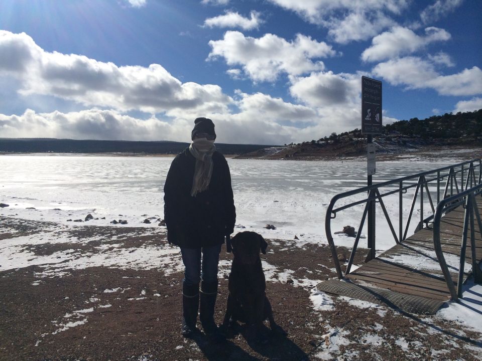 Person and dog on shore next to a frozen lake with a pier