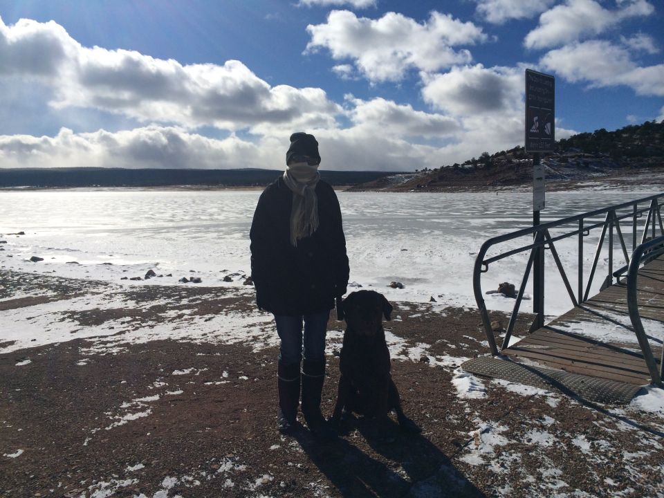 Person in dark coat and scarf with a dog by a frozen lake and a wooden bridge, under a cloudy sky