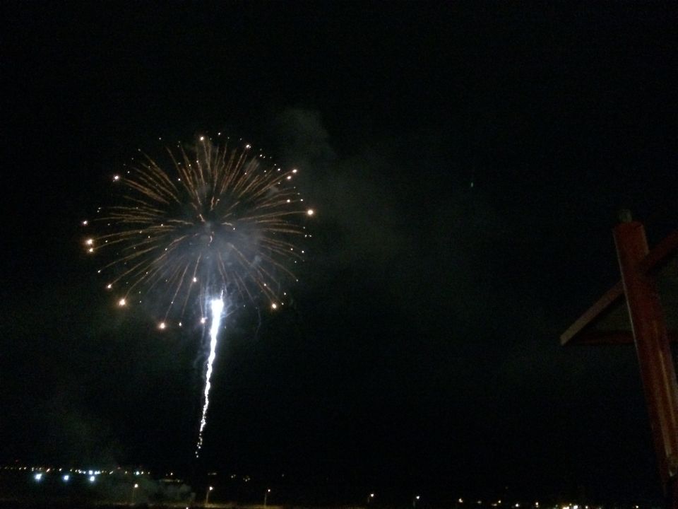 Fireworks explode in a dark night sky over a distant city skyline