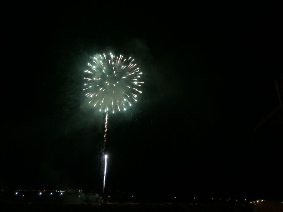Fireworks explode in a dark sky over a distant city skyline