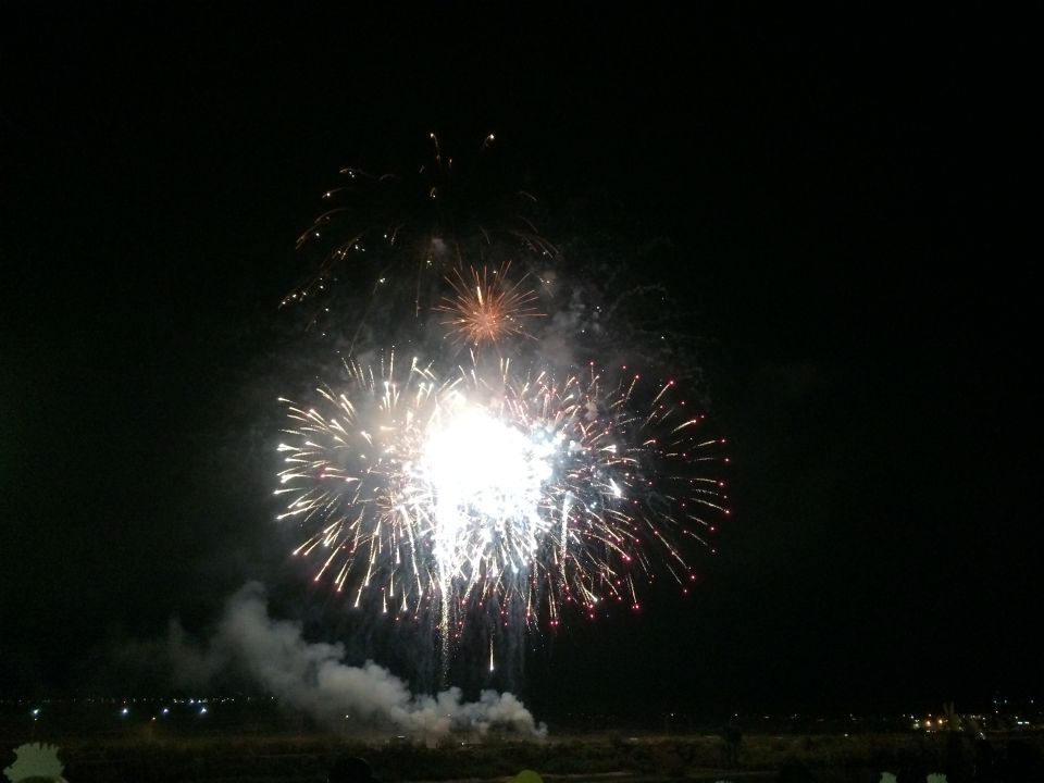 Fireworks explode in the night sky over a dark landscape with distant lights