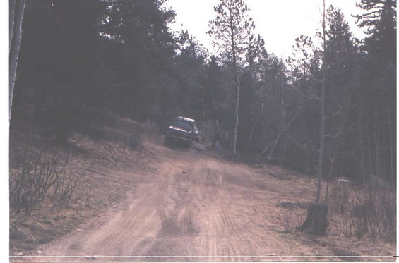 Dark SUV driving on a dirt road in a forest