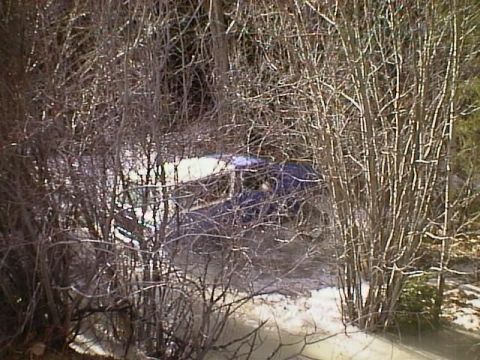 1996 Ford Bronco - A blue SUV is seen from the side, partially obscured by dense, bare tree branches and snow on the ground.