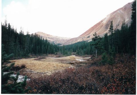 1996 Ford Bronco - A scenic view of a mountain valley, dense evergreen forests and a winding dirt path through a meadow.