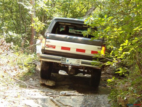 1988 Ford Bronco - Ford Bronco tackling a challenging off-road path with dense foliage.
