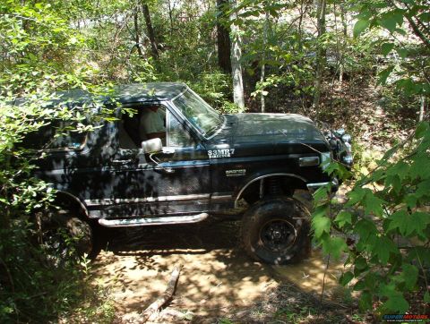 1988 Ford Bronco - A 1988 Ford Bronco navigates a muddy trail surrounded by dense foliage.